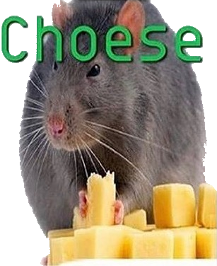 Choese