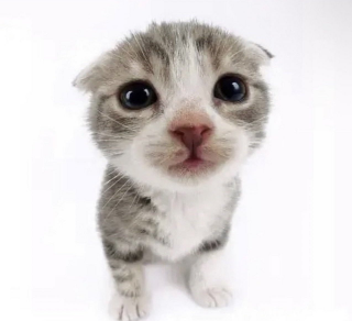 this is me btw if you even car