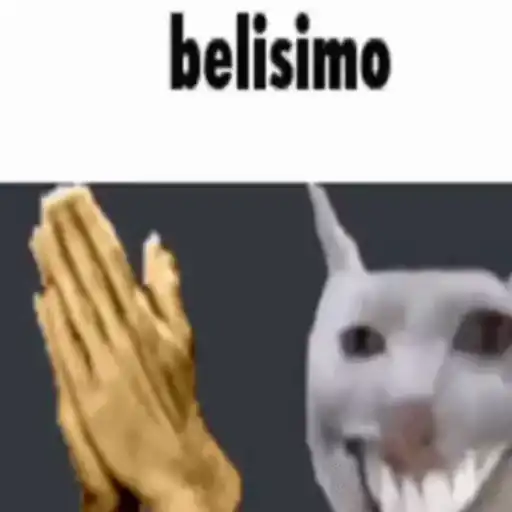 1stFG_ Belisimo