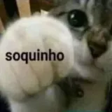 soquinho Discord sticker