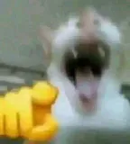 HAHAHAHA Discord sticker