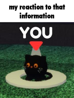 my reaction black cat