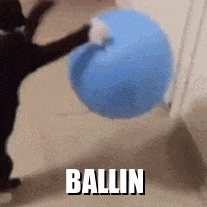 kitty ballin Discord sticker