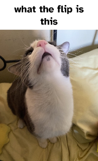 what the flip is this