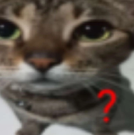 ?? Discord sticker