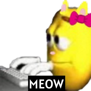 Wild shayma activities