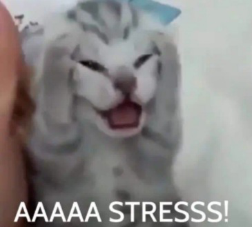 AAAAA STRESS! 