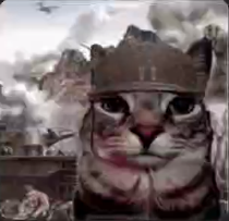War Cat Discord sticker