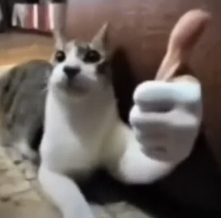 thumbs up Discord sticker