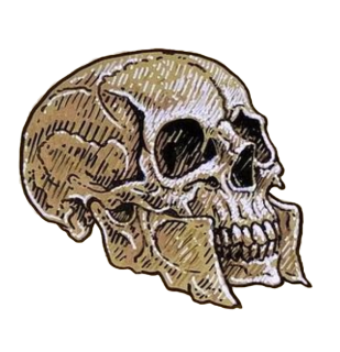 Adam's Skull Discord sticker