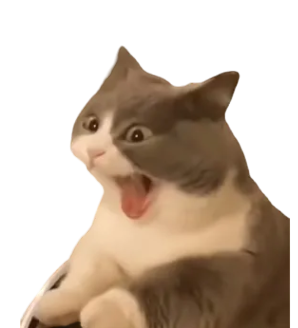 CatWhat Discord sticker