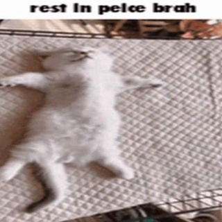 rest in peice brah Discord sticker