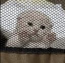 JAIL | gg/kirei Discord sticker