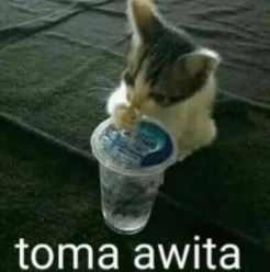 Toma Awita Discord sticker
