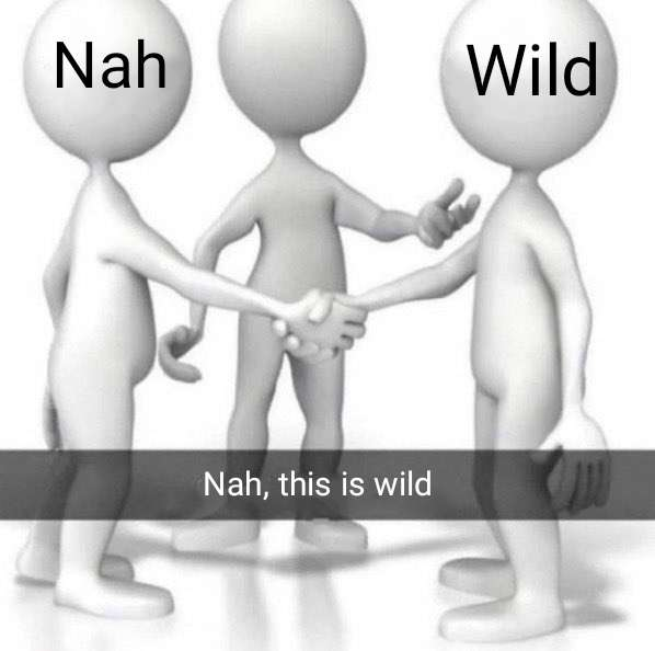 Nah this is wild