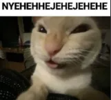 NYEHEHHEJEHE | .gg/meetspace Discord sticker