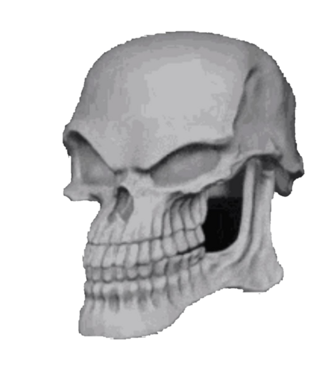 skull fr 