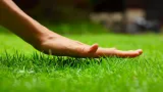 Touchgrass