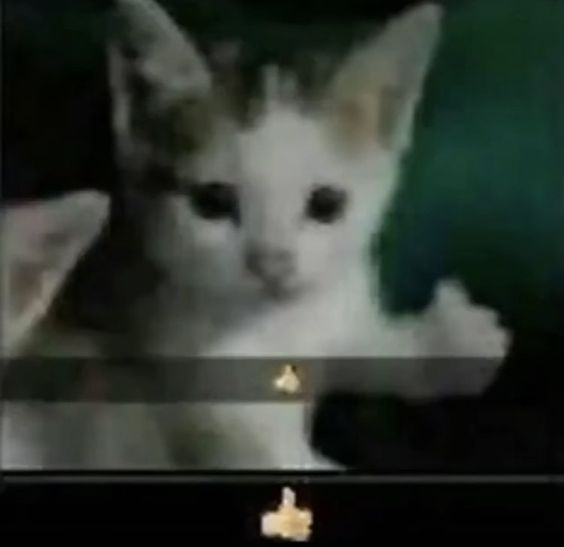 Thumbs_up_cat Discord sticker