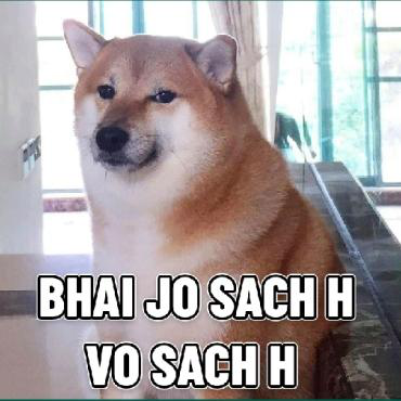bhai jo sach hai vo sach h Discord sticker