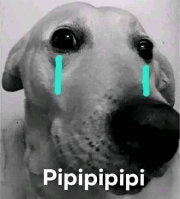 pipipipipi Discord sticker