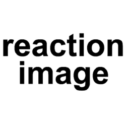 Reaction image Discord sticker