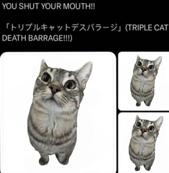 TRIPLE CAT DEATH BARRAGE 