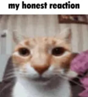 Mi honesta reacción Discord sticker