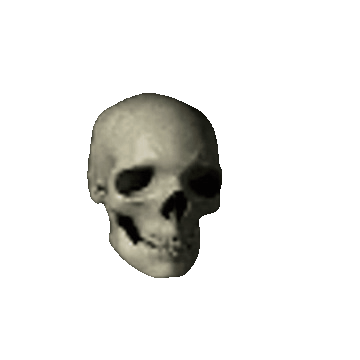 :skull:
