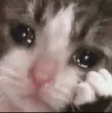 estoy sad Discord sticker