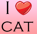 ilovecat .gg/talks