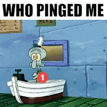WHO PINGED ME???