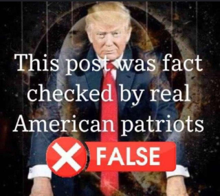 Fact Check False Discord sticker