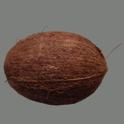coconut