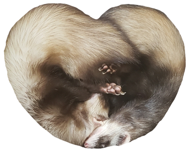 ferret heart Discord sticker