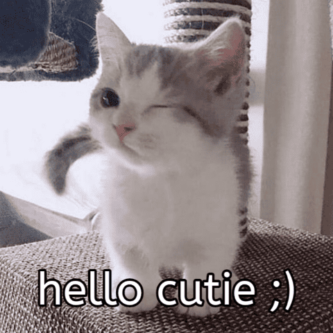 Hello Cutie Discord sticker