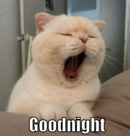goodnight Discord sticker