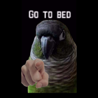 Gosleep Discord sticker