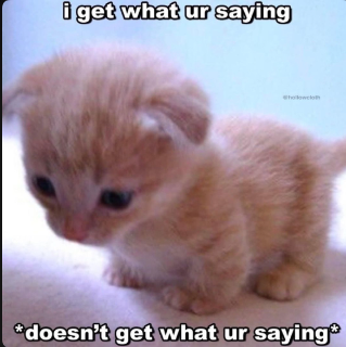 im i dont get what ur saying 