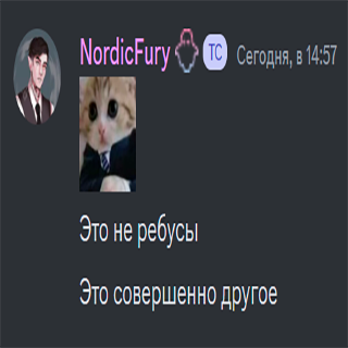 Это не ребусы Discord sticker