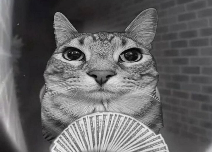 motion Discord sticker