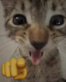 HA Discord sticker