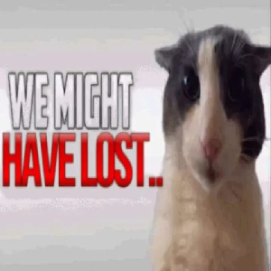 we might have lost...