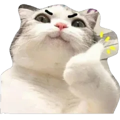 Cat Thumbs Up Discord sticker