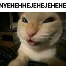 Hehehehe /  .gg/chatzone