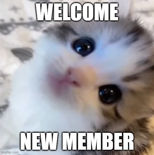 welcome new member