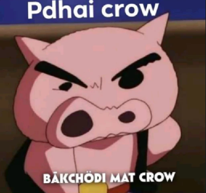 padhaicrow Discord sticker