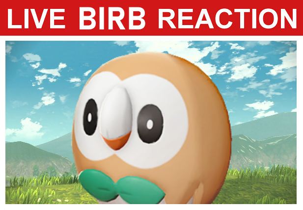Live Birb Reaction Discord sticker