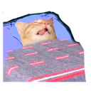 RT_zzz Discord sticker