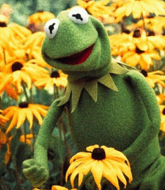 Flowers | Kermit Discord sticker